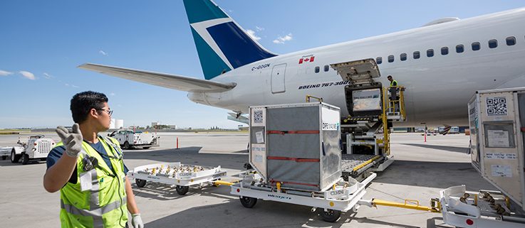 Global transport and logistic agency – Fast & Reliable Delivery Services